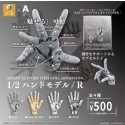 ARTIST SUPPORT ITEM 1/2 Hand Model / R (แบบกาขาปอง)