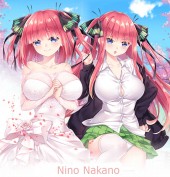 ปลอกหมอนข้าง Nino Nakano
