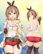 ปลอกหมอนข้าง Ryza