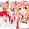 ปลอกหมอนข้าง Flandre Scarlet