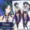 ปลอกหมอนข้าง Xiao