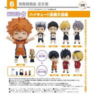 Nendoroid Surprise Haikyu!! Nationals Arc【BOX】