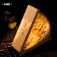 Guoba LED Book Lamp