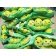 ถั่ว Peas in a Pod 8 นิ้ว